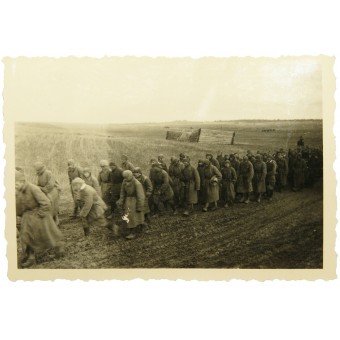 Sowjetische Kriegsgefangene im Jahr 1941 bei Vyazma. Espenlaub militaria